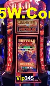 Vip345 App Interface